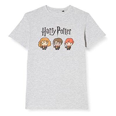 Harry Potter Legend ICON Officiel imprimé T-Shirt Pour Garçon Col ras du cou Manches Courtes Coton Coupe régulière,Legendary Trio_Gris Melange,Taille 10 Ans Harry Potter Legend ICON Officiel imprimé T-Shirt Pour Garçon Col ras du cou Manches Courtes Coton Coupe régulière,Legendary Trio_Gris Melange,Taille 10 Ans
