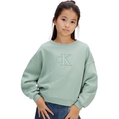 Calvin Mädchen Sweatshirt mit Rundhalsausschnitt, Türkis (Jadeite 16-5304 TCX), 12 Jahre Calvin Mädchen Sweatshirt mit Rundhalsausschnitt, Türkis (Jadeite 16-5304 TCX), 12 Jahre