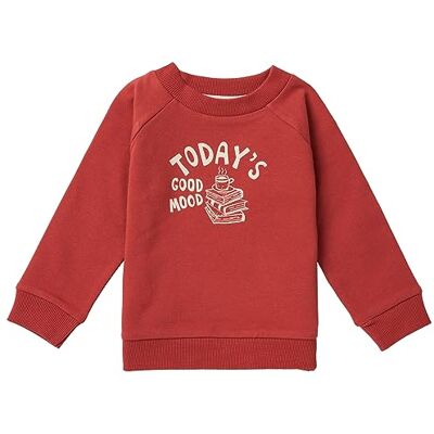 Noppies Baby Jungen Boys Sweater Toast Long Sleeve Pullover, Tandori Spice N115, 56 EU Noppies Baby Jungen Boys Sweater Toast Long Sleeve Pullover, Tandori Spice N115, 56 EU