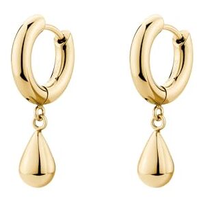 Brosway Perfect Creolen für Damen aus Edelstahl mit 14K-vergoldeter-PVD-Beschichtung mit Tropfenanhänger Größe: 2,5 cm, BPC45 Brosway Perfect Creolen für Damen aus Edelstahl mit 14K-vergoldeter-PVD-Beschichtung mit Tropfenanhänger Größe: 2,5 cm, BPC45