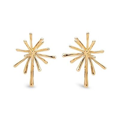 SINGULARU Nova Ohrringe. Edelstahl mit 18 Kt Vergoldeter Beschichtung. Schmuck für Damen. SINGULARU Nova Ohrringe. Edelstahl mit 18 Kt Vergoldeter Beschichtung. Schmuck für Damen.