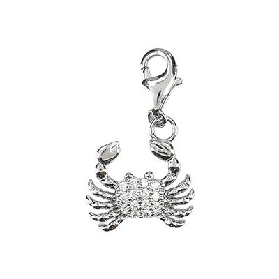 Depesche 11785-061 Charms Express yourself Anhänger für Halsketten und Armband, Krebs, versilbert, als kleines Geschenk Depesche 11785-061 Charms Express yourself Anhänger für Halsketten und Armband, Krebs, versilbert, als kleines Geschenk