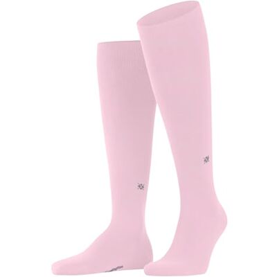 Burlington Dublin Kniestrümpfe Blickdicht Baumwolle (Bio) Burlington Dublin Kniestrümpfe Blickdicht Baumwolle (Bio)
