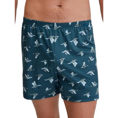 CALIDA Prints Boxershorts Herren, mit stoffüberzogenem Bund, aus 100% Baumwolle, ohne Eingriff CALIDA Prints Boxershorts Herren, mit stoffüberzogenem Bund, aus 100% Baumwolle, ohne Eingriff