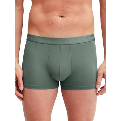 CALIDA Evolution Boxershorts Herren Laurel Green 46-48 CALIDA Evolution Boxershorts Herren Laurel Green 46-48