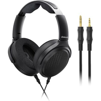 FiiO JT7 Over-Ear-Kopfhörer, planar, magnetisch, 95 x 86 mm, Planar-Treiber, 3 µm ultradünne Membran, faltbares leichtes Design, abnehmbares 4,4 mm/3,5 mm Kabel für Audiophile (Schwarz) FiiO JT7 Over-Ear-Kopfhörer, planar, magnetisch, 95 x 86 mm, Planar-Treiber, 3 µm ultradünne Membran, faltbares leichtes Design, abnehmbares 4,4 mm/3,5 mm Kabel für Audiophile (Schwarz)