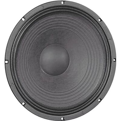 Audibax GR10-AR 10-Zoll-Lautsprecher Audibax GR10-AR 10-Zoll-Lautsprecher