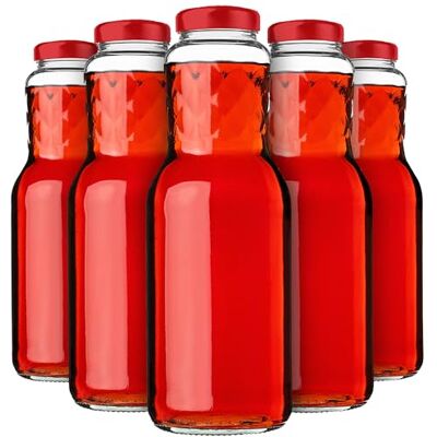 KADAX 5er Set Glasflaschen 1L mit Schraubverschluss Rot – Leere Milchflaschen Saftflaschen zum Befüllen für Saft, Milch, Smoothies & Sirup, Refillable Glass Bottles KADAX 5er Set Glasflaschen 1L mit Schraubverschluss Rot – Leere Milchflaschen Saftflaschen zum Befüllen für Saft, Milch, Smoothies & Sirup, Refillable Glass Bottles
