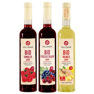 HÖLLINGER - JUST LOVING NATURE Höllinger Bio Sirup Set Himbeere Früchtetraum Ingwer, 3 x 0,5 L HÖLLINGER - JUST LOVING NATURE Höllinger Bio Sirup Set Himbeere Früchtetraum Ingwer, 3 x 0,5 L