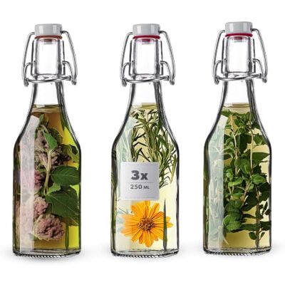 KADAX Bügelflaschen 250 ml, 3er Set, Glasflaschen mit Bügelverschluss, leere Flaschen zum Befüllen für Saft, Öl, Essig, Likör & Sirup, Saftflaschen aus Glas, Likörflaschen KADAX Bügelflaschen 250 ml, 3er Set, Glasflaschen mit Bügelverschluss, leere Flaschen zum Befüllen für Saft, Öl, Essig, Likör & Sirup, Saftflaschen aus Glas, Likörflaschen