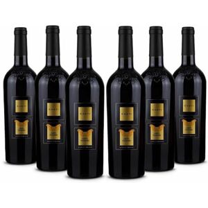 CANTI Gran Passero, italienischer Passito I.G.T. Rotwein, Appassimento aus apulischen Trauben, weicher und samtiger Geschmack mit süßem und blumigem Geschmack, 6x750 ml CANTI Gran Passero, italienischer Passito I.G.T. Rotwein, Appassimento aus apulischen Trauben, weicher und samtiger Geschmack mit süßem und blumigem Geschmack, 6x750 ml