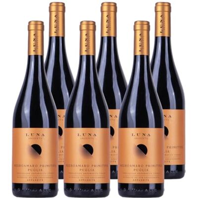 Luna Argenta Negroamaro Primitivo Puglia IGT- Halbtrockener, aromatischer Rotwein aus Italien (6 x 0,75l) Luna Argenta Negroamaro Primitivo Puglia IGT- Halbtrockener, aromatischer Rotwein aus Italien (6 x 0,75l)
