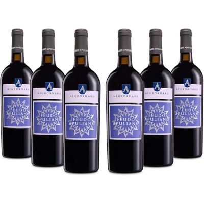 Feudo Apuliano Negroamaro Salento IGP, Rotwein mit Abgerundetem und Vollem Geschmack, und Intensivem und Komplexem Bouquet, 14,5 % Vol., Karton mit 6 Flaschen mit jeweils 750 ml Feudo Apuliano Negroamaro Salento IGP, Rotwein mit Abgerundetem und Vollem Geschmack, und Intensivem und Komplexem Bouquet, 14,5 % Vol., Karton mit 6 Flaschen mit jeweils 750 ml