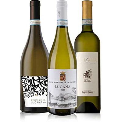 The Wine Guys Probierpaket Lugana zum Kennenlernen Weinpaket mit italienischem Weißwein (3 x 0.75 l) The Wine Guys Probierpaket Lugana zum Kennenlernen Weinpaket mit italienischem Weißwein (3 x 0.75 l)