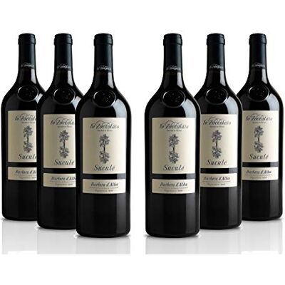 Lo Zoccolaio Barbera d'Alba DOC Suculè Superiore Rotwein Flaschen Piedmont Wein Barbera trocken Barbera trocken (6 x 0.75 l) Lo Zoccolaio Barbera d'Alba DOC Suculè Superiore Rotwein Flaschen Piedmont Wein Barbera trocken Barbera trocken (6 x 0.75 l)