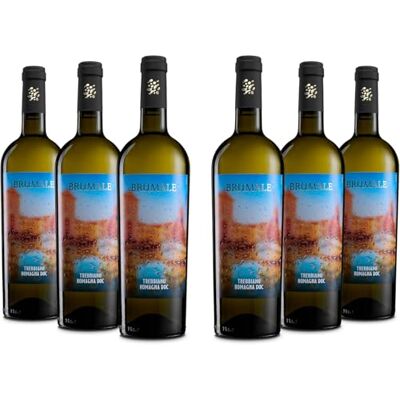 Brumale Vino Trebbiano di Romagna DOC, Frischer und Mineralischer Wein mit Fruchtigem und Blumigem Bouquet, 12% Vol., Karton mit 6 Flaschen mit jeweils 750 ml Brumale Vino Trebbiano di Romagna DOC, Frischer und Mineralischer Wein mit Fruchtigem und Blumigem Bouquet, 12% Vol., Karton mit 6 Flaschen mit jeweils 750 ml