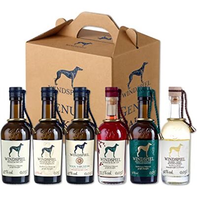 Windspiel Mini Premium Spirituosen Set 6 x 0,05l Probier- und Geschenkset Windspiel Mini Premium Spirituosen Set 6 x 0,05l Probier- und Geschenkset