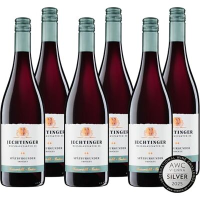 Jechtinger Weinmanufaktur eG Jechtinger Spätburgunder Rotwein QbA trocken SILBER 2025 AWC Vienna Rotwein trocken, kräftig und ausdrucksstark Badischer Wein (6 x 0,75 l) Jechtinger Weinmanufaktur eG Jechtinger Spätburgunder Rotwein QbA trocken SILBER 2025 AWC Vienna Rotwein trocken, kräftig und ausdrucksstark Badischer Wein (6 x 0,75 l)