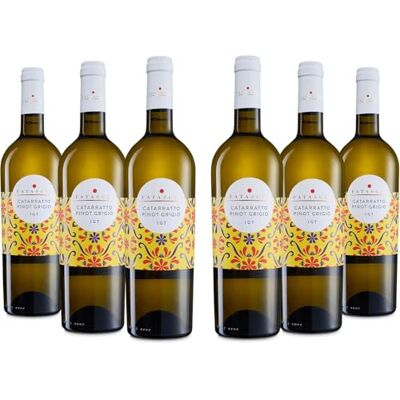 Fatascia' Fatascià Catarratto Pinot Grigio Terre Siciliane IGT, Weißwein mit Weichem und Leichtem Geschmack und Duft nach Weißen Früchten und Blumigen Noten, 13 % Vol., Karton mit 6 Flaschen mit jeweils 750 ml Fatascia' Fatascià Catarratto Pinot Grigio Terre Siciliane IGT, Weißwein mit Weichem und Leichtem Geschmack und Duft nach Weißen Früchten und Blumigen Noten, 13 % Vol., Karton mit 6 Flaschen mit jeweils 750 ml