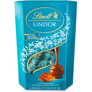 Lindt Schokolade LINDOR Cornet Salted Caramel 500g 38 Kugeln in Milch-Schokolade mit einer Salz-Karamell Füllung Schokoladen Geschenk Lindt Schokolade LINDOR Cornet Salted Caramel 500g 38 Kugeln in Milch-Schokolade mit einer Salz-Karamell Füllung Schokoladen Geschenk
