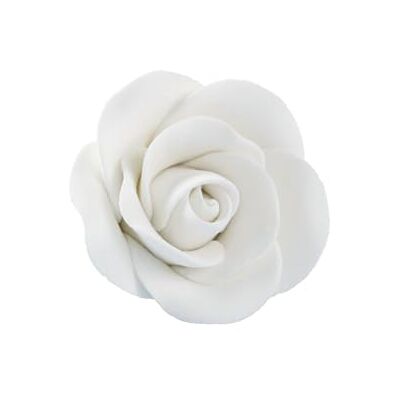Cake Company Feinzuckerrosen 50 Stück weiss 1er Pack (1 x 172 g) Cake Company Feinzuckerrosen 50 Stück weiss 1er Pack (1 x 172 g)