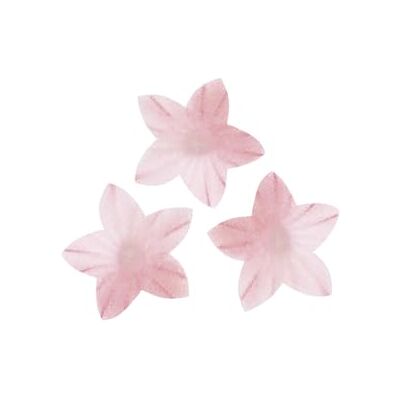 dekora Tortendeko Essbar, Oblatenblumen, 400 mini Essbare Blumen für Torten, 2 cm, ohne Zucker, glutenfrei, laktosefrei für Hochzeit, Geburtstag, Taufe und Gender reveal dekora Tortendeko Essbar, Oblatenblumen, 400 mini Essbare Blumen für Torten, 2 cm, ohne Zucker, glutenfrei, laktosefrei für Hochzeit, Geburtstag, Taufe und Gender reveal
