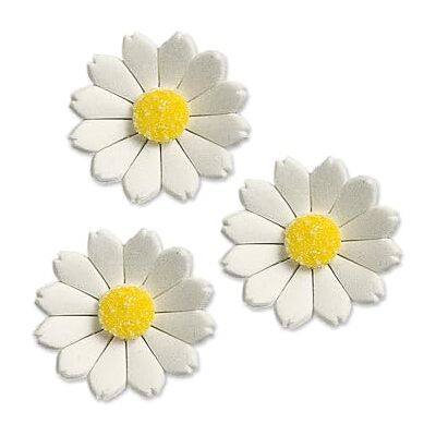 Günthart Feinzucker-Margeriten, weiß, 1er Pack (1 x 206 g) Günthart Feinzucker-Margeriten, weiß, 1er Pack (1 x 206 g)
