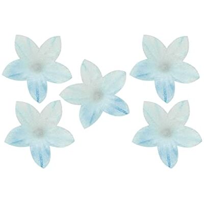dekora – Tortendeko Essbar, Oblatenblumen, 400 mini Essbare Blumen für Torten, 2 cm, ohne Zucker, glutenfrei, laktosefrei für Hochzeit, Geburtstag, Taufe und Gender reveal dekora – Tortendeko Essbar, Oblatenblumen, 400 mini Essbare Blumen für Torten, 2 cm, ohne Zucker, glutenfrei, laktosefrei für Hochzeit, Geburtstag, Taufe und Gender reveal