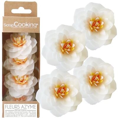 ScrapCooking – 4 Weiße Kamelien aus Esspapier – Essbare Blumen zur Tortendeko – Florale Deko für Torten, Cupcakes, Gebäck – Geburtstag, Hochzeit – 2292 ScrapCooking – 4 Weiße Kamelien aus Esspapier – Essbare Blumen zur Tortendeko – Florale Deko für Torten, Cupcakes, Gebäck – Geburtstag, Hochzeit – 2292