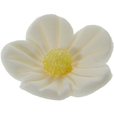 Günthart Essbare kleine Feinzucker Blumen in weiß, 1er Pack (1 x 168 g) Günthart Essbare kleine Feinzucker Blumen in weiß, 1er Pack (1 x 168 g)