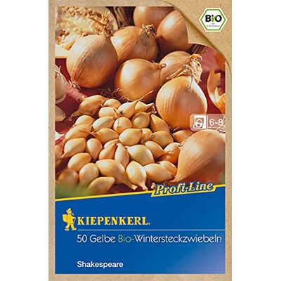 Kiepenkerl BIO Wintersteckzwiebel Shakespeare, sehr lagerfähig, tiefgelbe Schale, runde Form, festes Fleisch Kiepenkerl BIO Wintersteckzwiebel Shakespeare, sehr lagerfähig, tiefgelbe Schale, runde Form, festes Fleisch