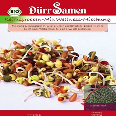 Dürr-Samen Bio Keimsprossen Wellness-Mischung Inhalt: 75 g Dürr-Samen Bio Keimsprossen Wellness-Mischung Inhalt: 75 g