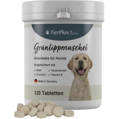 EXVital TierPlus Gelenktabletten für Hunde mit Grünlippmuschel, MSM, Ingwer, Chondroitin, Glucosamin und Teufelskralle angereichert. Hohe Fressakzeptanz, 120 Stück, Made in Germany EXVital TierPlus Gelenktabletten für Hunde mit Grünlippmuschel, MSM, Ingwer, Chondroitin, Glucosamin und Teufelskralle angereichert. Hohe Fressakzeptanz, 120 Stück, Made in Germany