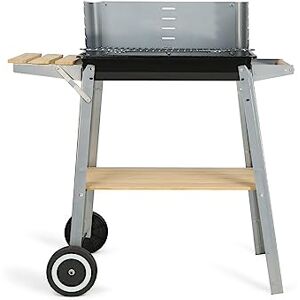 Livoo feel good moments Livoo Holzkohlegrill DOC244 Livoo feel good moments Livoo Holzkohlegrill DOC244