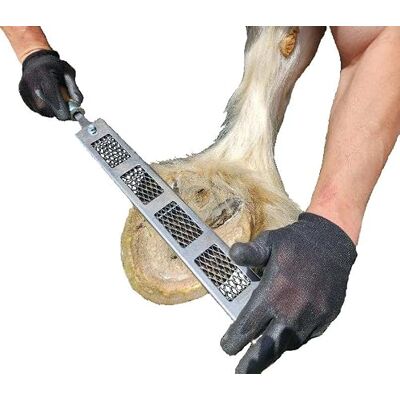 CODY JAMES TOOLS MADE IN THE U.S.A Cody James Dymondback Raspel Beste Datei zum Trimmen eines Pferdehufs Wählen Sie Fein, Mittel oder Aggressiv CODY JAMES TOOLS MADE IN THE U.S.A Cody James Dymondback Raspel Beste Datei zum Trimmen eines Pferdehufs Wählen Sie Fein, Mittel oder Aggressiv