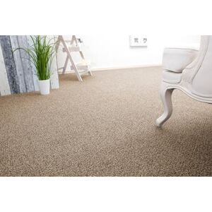 andiamo Auslegware Teppichboden Meterware Carlos Teppichboden Auslegware & Teppich Meterware Auslegware Teppich Meterware 4m & 5m breit pflegeleichter Bodenbelag Beige 500 x 350 cm andiamo Auslegware Teppichboden Meterware Carlos Teppichboden Auslegware & Teppich Meterware Auslegware Teppich Meterware 4m & 5m breit pflegeleichter Bodenbelag Beige 500 x 350 cm