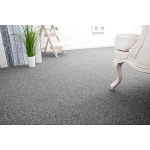 andiamo Auslegware Teppichboden Meterware Carlos Teppichboden Auslegware & Teppich Meterware Auslegware Teppich Meterware 4m & 5m breit pflegeleichter Bodenbelag Grau 500 x 550 cm andiamo Auslegware Teppichboden Meterware Carlos Teppichboden Auslegware & Teppich Meterware Auslegware Teppich Meterware 4m & 5m breit pflegeleichter Bodenbelag Grau 500 x 550 cm