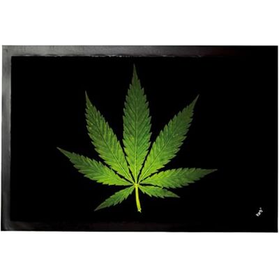 1art1 Cannabis Hanf Blatt Fußmatte Dekomatte Innenbereich Design Türmatte 60x40 cm 1art1 Cannabis Hanf Blatt Fußmatte Dekomatte Innenbereich Design Türmatte 60x40 cm