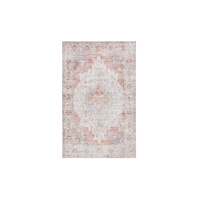Safavieh Traditionell Teppich für Ideal für stark frequentierte Bereiche Tucson Collection, Kurzer Flor, Hellgrau und Rost, 180 X 76 cm Safavieh Traditionell Teppich für Ideal für stark frequentierte Bereiche Tucson Collection, Kurzer Flor, Hellgrau und Rost, 180 X 76 cm