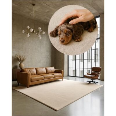 TEXMAXX Weicher Kurzflor Teppich Wohnzimmer mit rutschhemmender Rückseite 160 x 230 cm Modern für Flur, Esszimmer und als Schlafzimmer Teppich in Beige Waschbar bis 30 Grad TEXMAXX Weicher Kurzflor Teppich Wohnzimmer mit rutschhemmender Rückseite 160 x 230 cm Modern für Flur, Esszimmer und als Schlafzimmer Teppich in Beige Waschbar bis 30 Grad