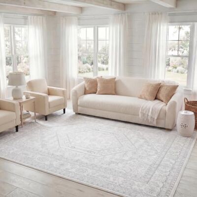 Safavieh - Adirondack - Elfenbein/Silber - 305x245 cm - Teppich Safavieh - Adirondack - Elfenbein/Silber - 305x245 cm - Teppich