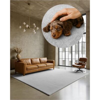 TEXMAXX Weicher Kurzflor Teppich Wohnzimmer mit rutschhemmender Rückseite 80 x 200 cm Modern für Flur, Esszimmer und als Schlafzimmer Teppich in Hell-Grau-Silber Waschbar bis 30 Grad TEXMAXX Weicher Kurzflor Teppich Wohnzimmer mit rutschhemmender Rückseite 80 x 200 cm Modern für Flur, Esszimmer und als Schlafzimmer Teppich in Hell-Grau-Silber Waschbar bis 30 Grad