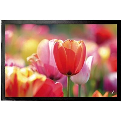 1art1 Blumen Rote Und Rosa Tulpen In Einem Feld Fußmatte Dekomatte Innenbereich Design Türmatte 60x40 cm 1art1 Blumen Rote Und Rosa Tulpen In Einem Feld Fußmatte Dekomatte Innenbereich Design Türmatte 60x40 cm