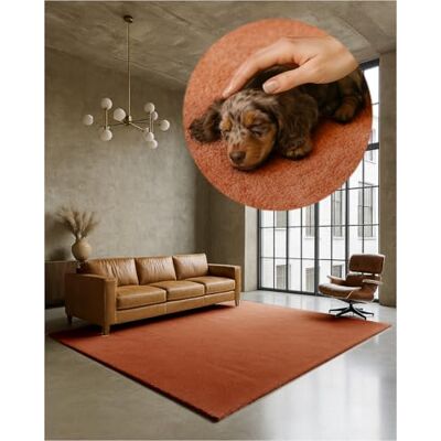 TEXMAXX Weicher Kurzflor Teppich Wohnzimmer mit rutschhemmender Rückseite 60 x 110 cm Modern für Flur, Esszimmer und als Schlafzimmer Teppich in Kupfer Waschbar bis 30 Grad TEXMAXX Weicher Kurzflor Teppich Wohnzimmer mit rutschhemmender Rückseite 60 x 110 cm Modern für Flur, Esszimmer und als Schlafzimmer Teppich in Kupfer Waschbar bis 30 Grad