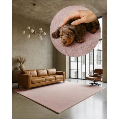 TEXMAXX Weicher Kurzflor Teppich Wohnzimmer mit rutschhemmender Rückseite 140 x 200 cm Modern für Flur, Esszimmer und als Schlafzimmer Teppich in Pastel-Rosa Waschbar bis 30 Grad TEXMAXX Weicher Kurzflor Teppich Wohnzimmer mit rutschhemmender Rückseite 140 x 200 cm Modern für Flur, Esszimmer und als Schlafzimmer Teppich in Pastel-Rosa Waschbar bis 30 Grad