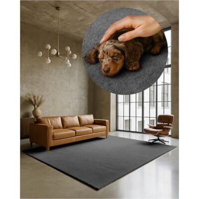 TEXMAXX Weicher Kurzflor Teppich Wohnzimmer mit rutschhemmender Rückseite 120 x 170 cm Modern für Flur, Esszimmer und als Schlafzimmer Teppich in Grau Waschbar bis 30 Grad TEXMAXX Weicher Kurzflor Teppich Wohnzimmer mit rutschhemmender Rückseite 120 x 170 cm Modern für Flur, Esszimmer und als Schlafzimmer Teppich in Grau Waschbar bis 30 Grad