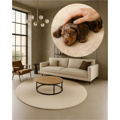 TEXMAXX Weicher Kurzflor Teppich Wohnzimmer mit rutschhemmender Rückseite Rund 200 x 200 cm Modern für Flur, Esszimmer und als Schlafzimmer Teppich in Beige Waschbar bis 30 Grad TEXMAXX Weicher Kurzflor Teppich Wohnzimmer mit rutschhemmender Rückseite Rund 200 x 200 cm Modern für Flur, Esszimmer und als Schlafzimmer Teppich in Beige Waschbar bis 30 Grad