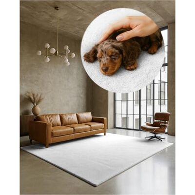TEXMAXX Weicher Kurzflor Teppich Wohnzimmer mit rutschhemmender Rückseite 80 x 150 cm Modern für Flur, Esszimmer und als Schlafzimmer Teppich in Weiß Waschbar bis 30 Grad TEXMAXX Weicher Kurzflor Teppich Wohnzimmer mit rutschhemmender Rückseite 80 x 150 cm Modern für Flur, Esszimmer und als Schlafzimmer Teppich in Weiß Waschbar bis 30 Grad