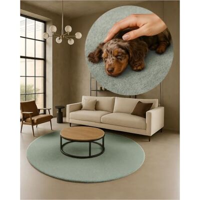 TEXMAXX Weicher Kurzflor Teppich Wohnzimmer mit rutschhemmender Rückseite Rund 180 x 180 cm Modern für Flur, Esszimmer und als Schlafzimmer Teppich in Hellgrün Waschbar bis 30 Grad TEXMAXX Weicher Kurzflor Teppich Wohnzimmer mit rutschhemmender Rückseite Rund 180 x 180 cm Modern für Flur, Esszimmer und als Schlafzimmer Teppich in Hellgrün Waschbar bis 30 Grad
