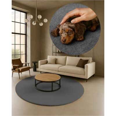 TEXMAXX Weicher Kurzflor Teppich Wohnzimmer mit rutschhemmender Rückseite Rund 160 x 160 cm Modern für Flur, Esszimmer und als Schlafzimmer Teppich in Grau Waschbar bis 30 Grad TEXMAXX Weicher Kurzflor Teppich Wohnzimmer mit rutschhemmender Rückseite Rund 160 x 160 cm Modern für Flur, Esszimmer und als Schlafzimmer Teppich in Grau Waschbar bis 30 Grad